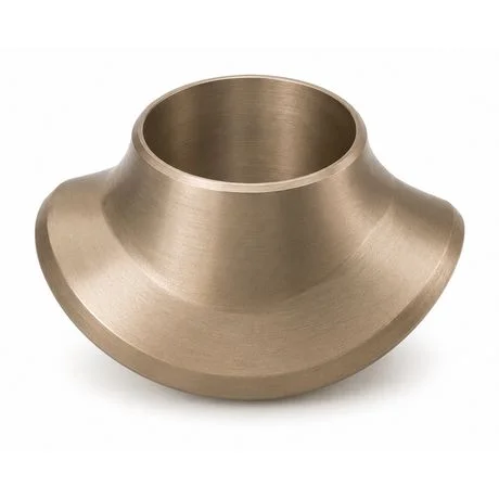 Spectacle Blind Flange